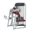 Fly/Rear Delt