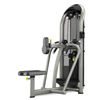 Rotary Torso