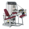 Seated Leg Curl